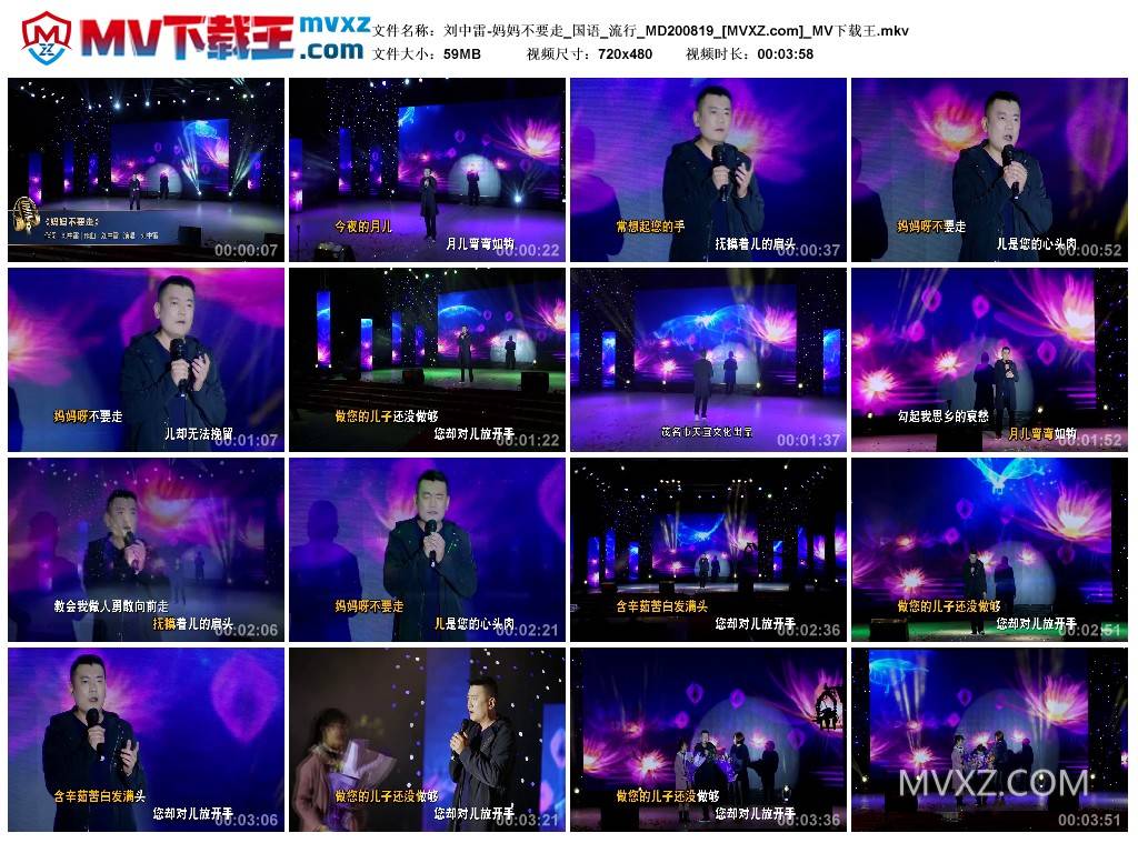刘中雷-妈妈不要走_国语_流行_MD200819